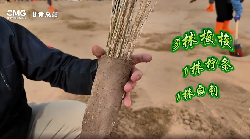 更多资讯请下载央视新闻客户端